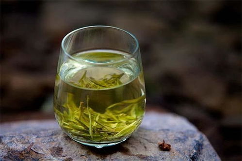 炒青一绝,原汁原味丨明代以来,西湖龙井为何崛起成为名茶