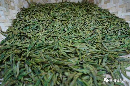 炒茶拼手艺,茶艺凭美感,2017年杭州市西湖龙井茶技艺大赛开赛喽