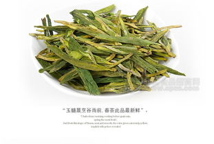 明前西湖龙井茶