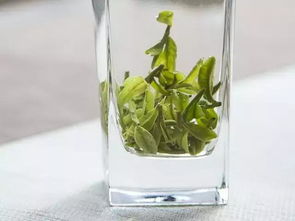 西湖龙井 最是一壶龙井新茶,不变一颗茶农匠心